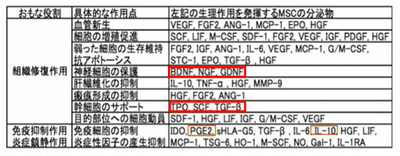 MSCの分泌物の役割表